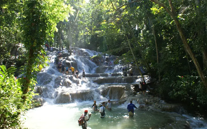 Visitors climbing the tiered cascades of Dunn's River Falls in tropical forest