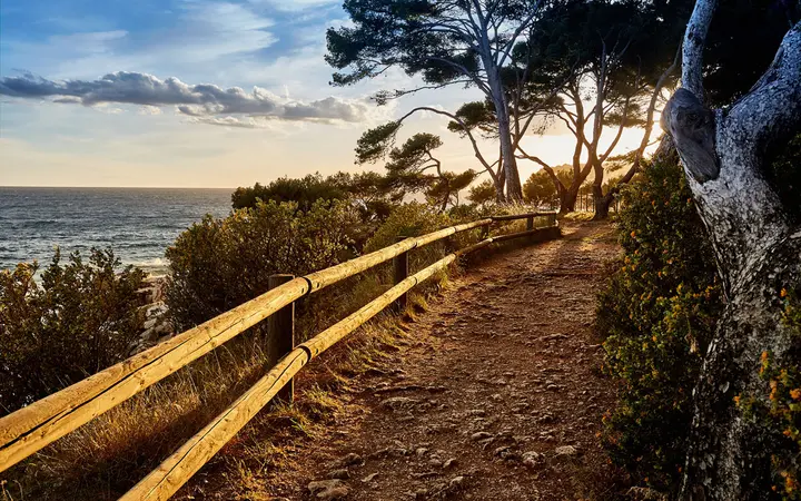 Coastal path lined with wooden rails and pine trees above the sea near Bandol
