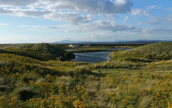 Grassy dunes and a tidal inlet at South Walney Nature Reserve under a blue sky