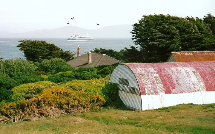 Settlement buildings and trees on Carcass Island, with an expedition cruise ship anchored offshore