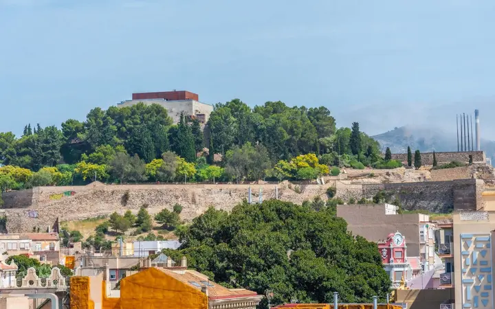 Concepción Castle on its wooded hill above Cartagena's old city walls and rooftops in daylight