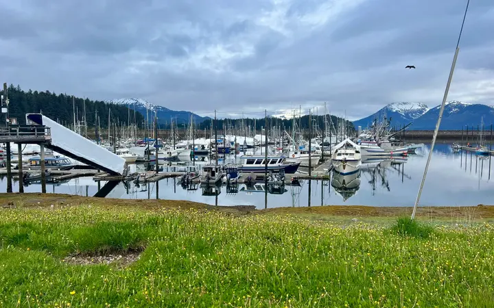 Hoonah boat harbor with moored boats, mountains and forest under a cloudy sky