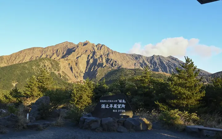 Rugged slopes of Sakurajima's Minamidake peak above green pines at Yunohira Observatory under a blue sky.