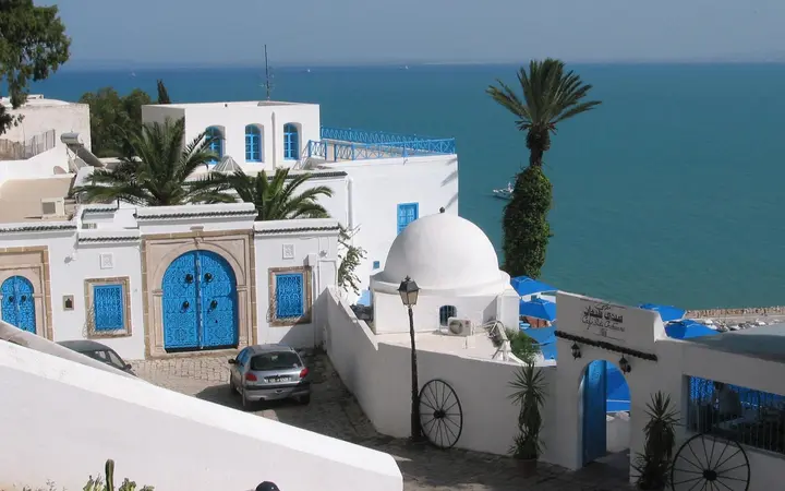 White houses with blue doors and a small white dome in Sidi Bou Said, with palm trees and the blue sea behind