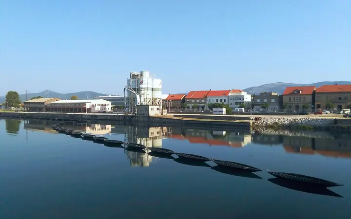 Traditional Neretva lađa boats moored on the Neretva River in Metković