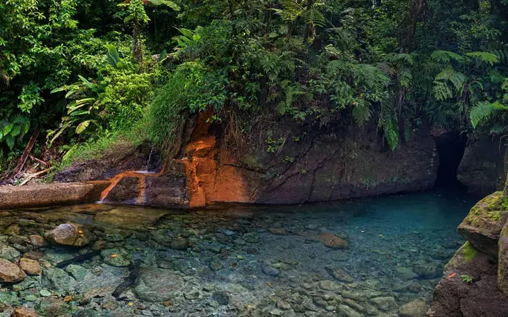 Clear green water at the entrance to Titou Gorge, with mossy rock walls and rainforest above.