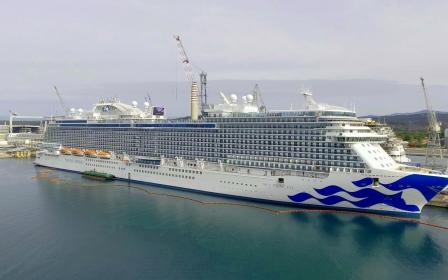 crown princess cruise ship capacity