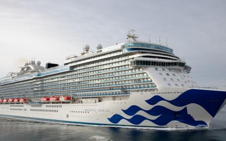 crown princess cruise ship capacity