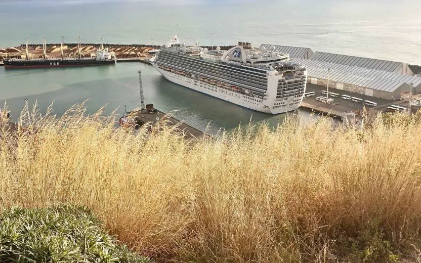 Cruise ship docked in Napier, New Zealand.