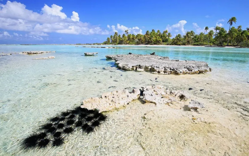 Mataiva, French Polynesia