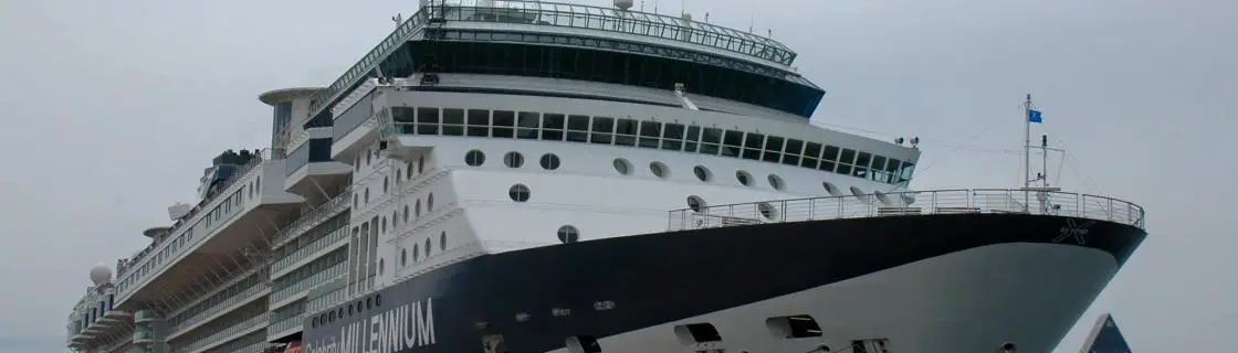 cruise ship in port japan