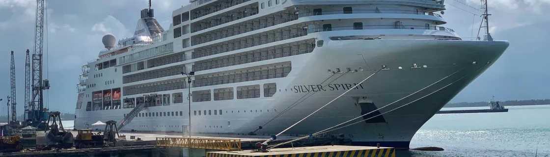 cruise ship docked at the port of Da Nang, Vietnam