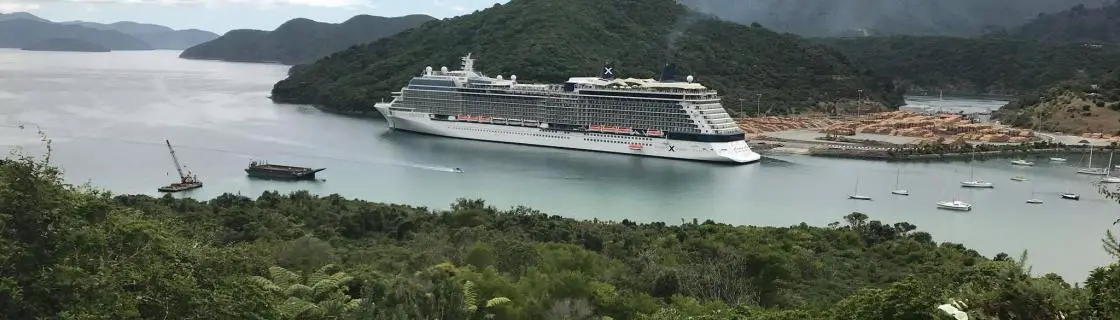 Cruise ship docked at the port of Picton, New Zealand