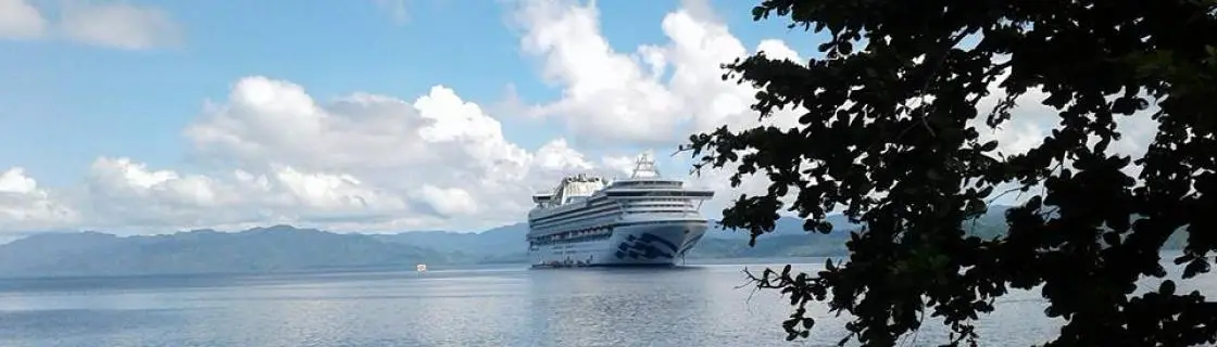 Princess cruise ship anchored at the port of Savusavu, Fiji